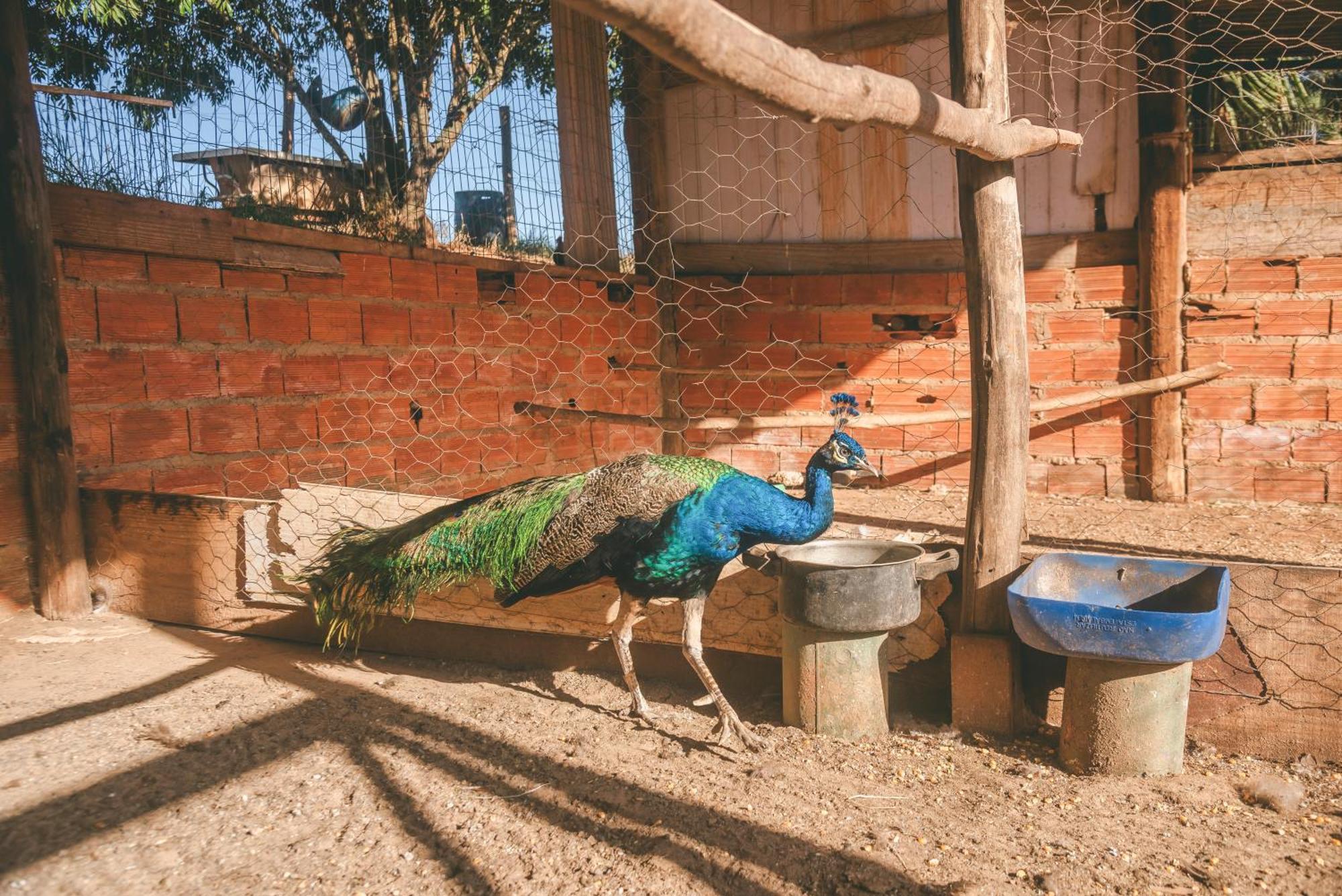 Hotel Fazenda Reviver Araçoiaba da Serra Esterno foto