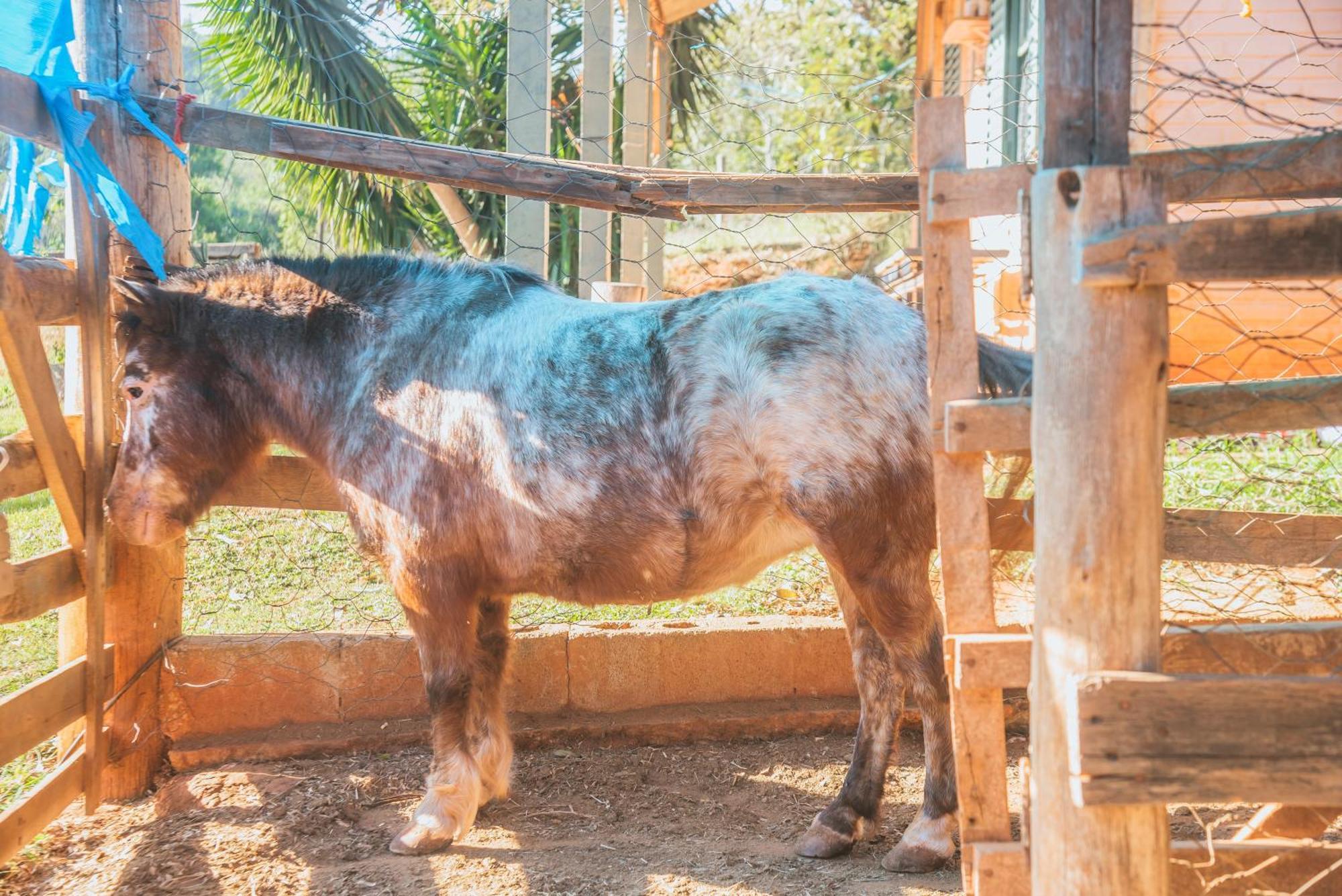 Hotel Fazenda Reviver Araçoiaba da Serra Esterno foto